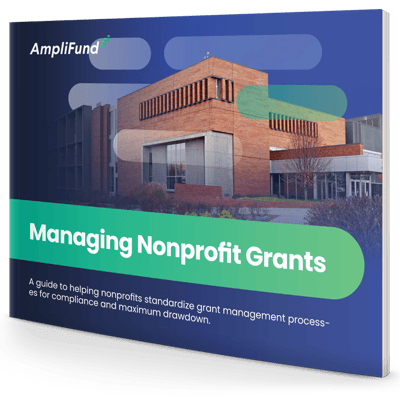 amplifund-nonprofit-grant-pdf-768x587